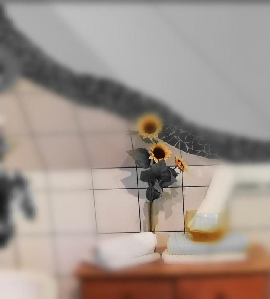 PossnitzKogelhuberアパートメント エクステリア 写真